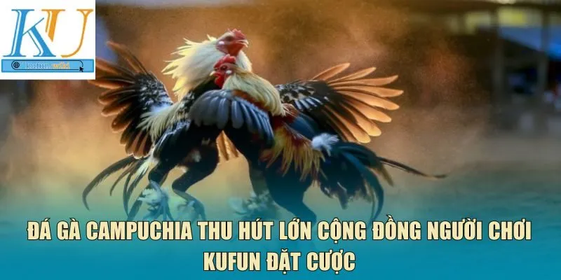 Đá gà Campuchia
